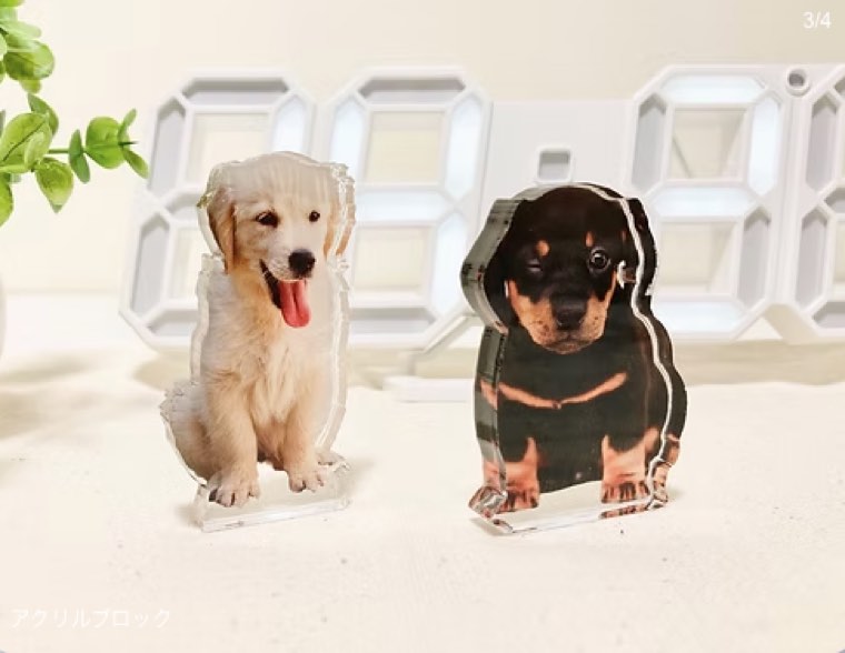 アクリルブロックに入った子犬の写真